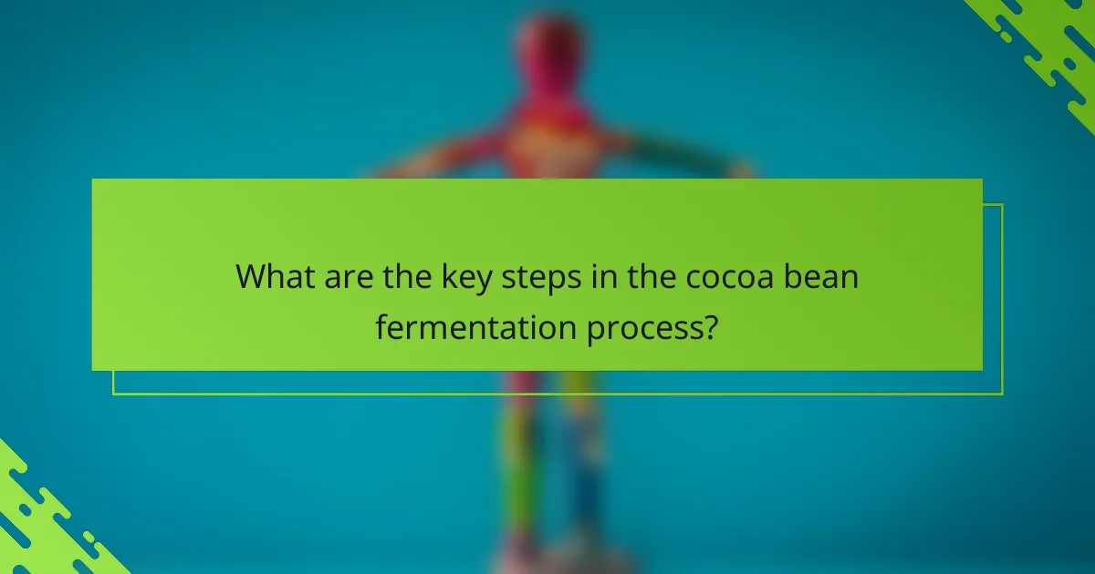 What are the key steps in the cocoa bean fermentation process?